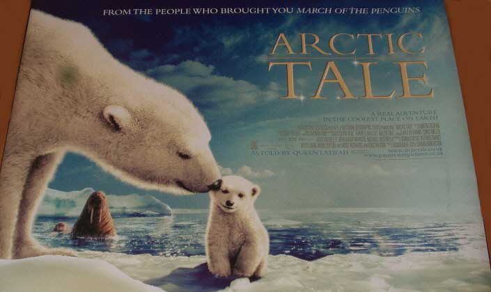 ARCTIC TALE: UK Quad Film Poster