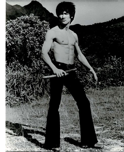Publicity Photo/Still: BRUCE LEE - GAME OF DEATH 1978 Posing By Bush