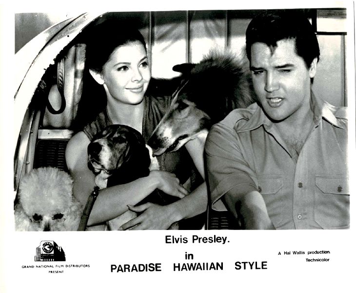 Publicity Photo/Still: ELVIS PRESLEY - PARADISE HAWAIIAN STYLE 1966 (B)