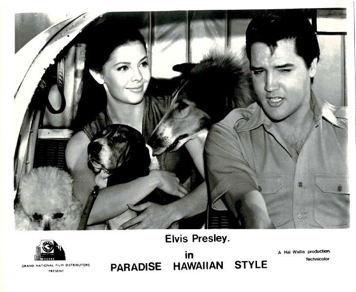 Publicity Photo/Still: ELVIS PRESLEY - PARADISE HAWAIIAN STYLE 1966 (B) Publicity Photo/Still: ELVIS PRESLEY - PARADISE HAWAIIAN STYLE 1966 (B)