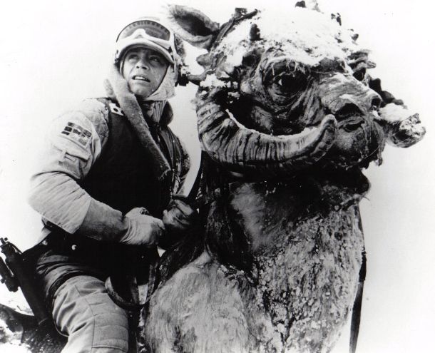 STAR WARS EPISODE V THE EMPIRE STRIKES BACK: B/W Still Luke on Tauntaun (close up)