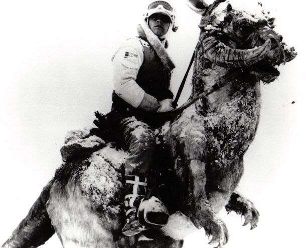 STAR WARS EPISODE V THE EMPIRE STRIKES BACK: B/W Still Luke on Tauntaun