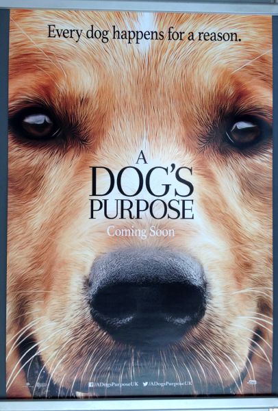 Cinema Poster: A DOG'S PURPOSE (Advance One Sheet) Josh Gad Cinema Poster: A DOG'S PURPOSE (Advance One Sheet) Josh Gad