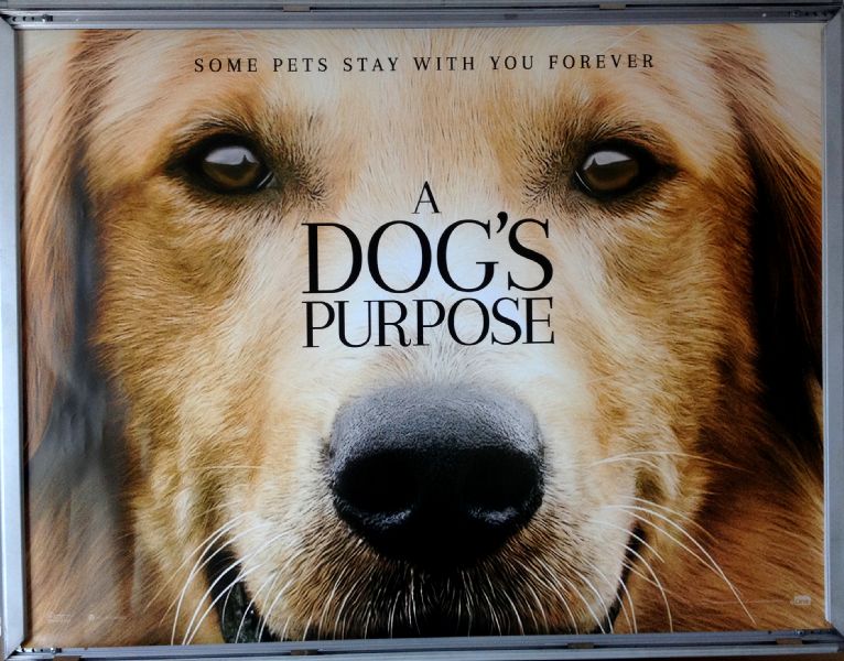 Cinema Poster: A DOG'S PURPOSE (Advance Quad) Josh Gad Dennis Quaid