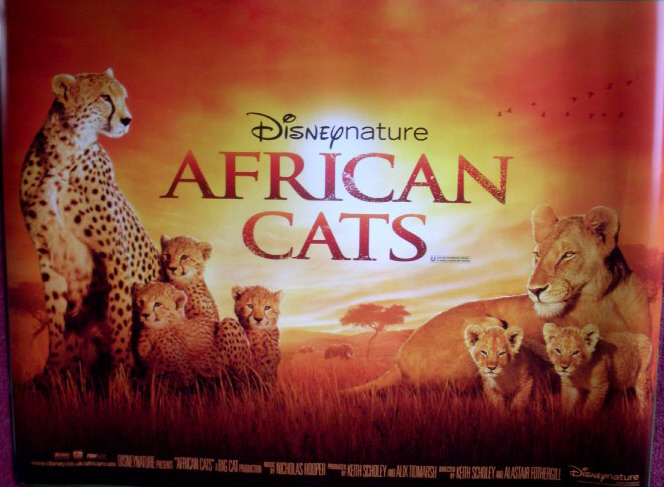 AFRICAN CATS: UK Quad Film Poster AFRICAN CATS: UK Quad Film Poster