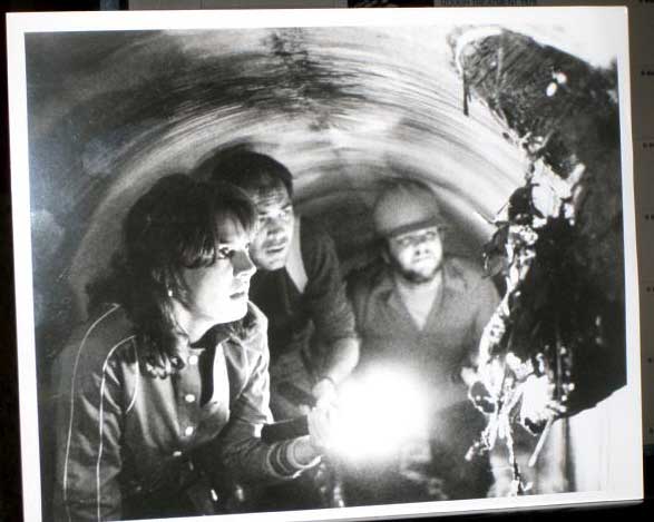 ALLIGATOR: Still (In Tunnel) ALLIGATOR: Still (In Tunnel)