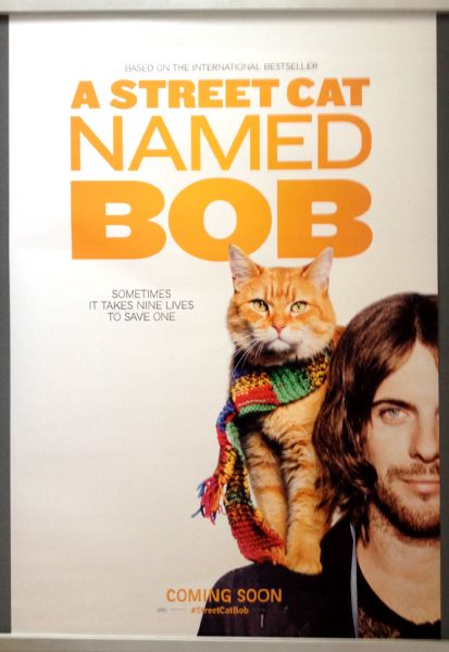 Cinema Poster: A STREET CAT NAMED BOB 2016 (Advance One Sheet) Luke Treadaway