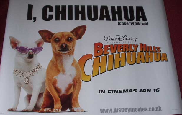 Cinema Poster: BEVERLY HILLS CHIHUAHUA 2009 (Quad) Drew Barrymore Piper Perabo