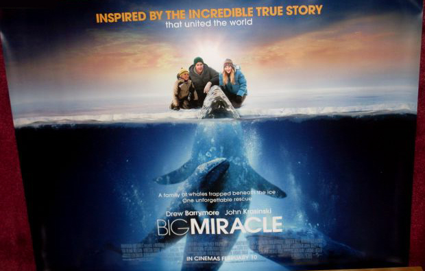 BIG MIRACLE: UK Quad Film Poster BIG MIRACLE: UK Quad Film Poster