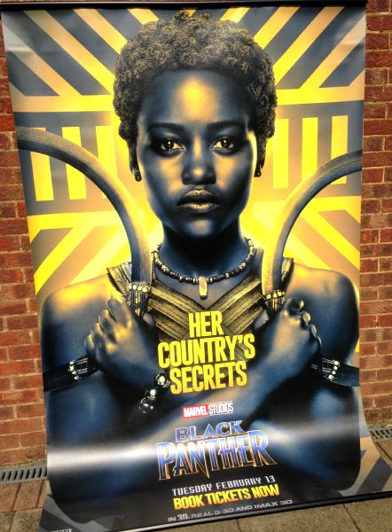 Cinema Banner: BLACK PANTHER 2018 (Nakia) Chadwick Boseman Lupita Nyong'o