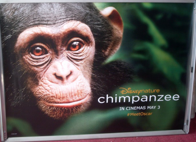 CHIMPANZEE: UK Quad Film Poster