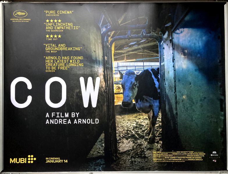 Cinema Poster: COW 2021 (Quad) Andrea Arnold Lin Gallagher