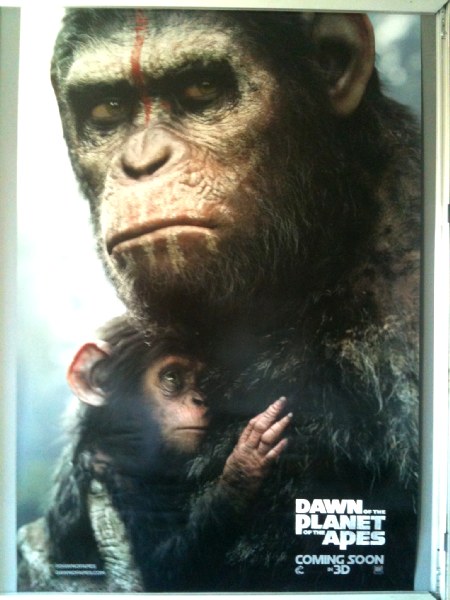 Cinema Poster: DAWN OF THE PLANET OF THE APES 2014 (Advance One Sheet) Gary Oldman