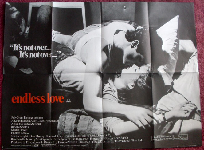 ENDLESS LOVE: 'Black & White' UK Quad Film Poster ENDLESS LOVE: 'Black & White' UK Quad Film Poster