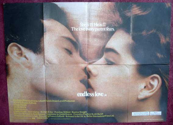ENDLESS LOVE: UK Quad Film Poster