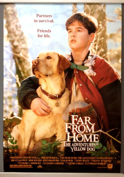 Cinema Poster: FAR FROM HOME 1995 (One Sheet) Jesse Bradford Mimi Rogers Cinema Poster: FAR FROM HOME 1995 (One Sheet) Jesse Bradford Mimi Rogers