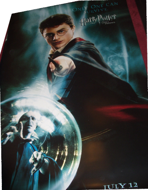 HARRY POTTER AND THE ORDER OF THE PHOENIX: Harry Potter/Voldemort Cinema Banner HARRY POTTER AND THE ORDER OF THE PHOENIX: Harry Potter/Voldemort Cinema Banner