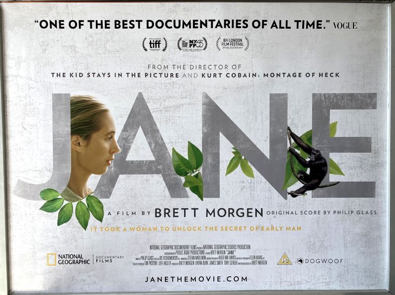 Cinema Poster: JANE 2017 (Quad) Jane Goodall Hugo Van Lawick Brett Morgen