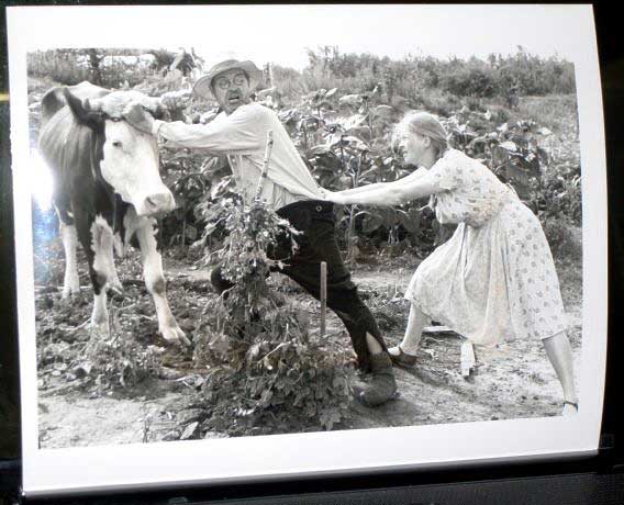 LIFE OF PRIVATE IVAN CHONKIN: Publicity Still Pulling a Cow LIFE OF PRIVATE IVAN CHONKIN: Publicity Still Pulling a Cow