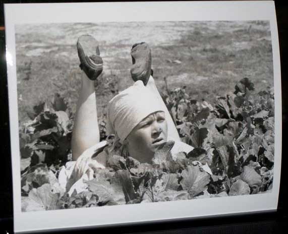 LIFE OF PRIVATE IVAN CHONKIN: Publicity Still Woman In Vegetable Patch LIFE OF PRIVATE IVAN CHONKIN: Publicity Still Woman In Vegetable Patch