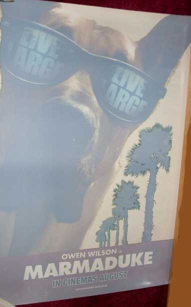 MARMADUKE: Cinema Promo Cling 'Sunglasses' MARMADUKE: Cinema Promo Cling 'Sunglasses'