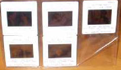 NOTTING HILL: 5 Film Cells