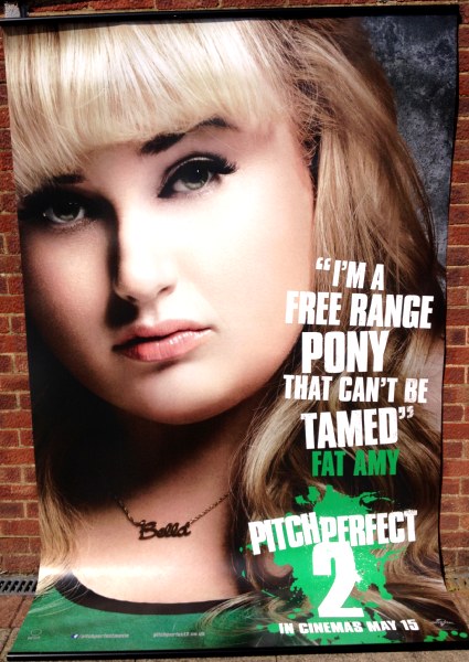 Cinema Banner: PITCH PERFECT 2 2015 (Fat Amy) Anna Kendrick Rebel Wilson Hailee Steinfeld