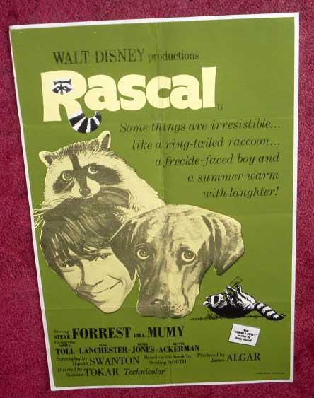 RASCAL: UK Quad Film Poster RASCAL: UK Quad Film Poster