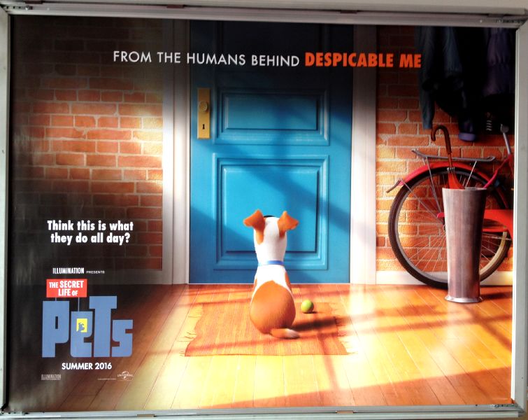Cinema Poster: SECRET LIFE OF PETS, THE 2016 (Advance Quad) Lake Bell Kevin Hart