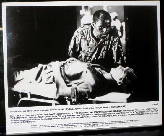 SERPENT AND THE RAINBOW, THE: Publicity Still Bill Pullman Laid Out SERPENT AND THE RAINBOW, THE: Publicity Still Bill Pullman Laid Out