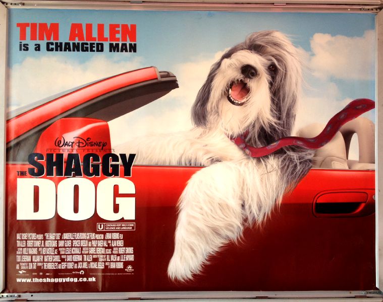Cinema Poster: SHAGGY DOG, THE 2006 (Quad) Tim Allen Danny Glover Cinema Poster: SHAGGY DOG, THE 2006 (Quad) Tim Allen Danny Glover