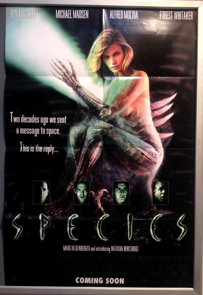 Cinema Poster: SPECIES 1995 (One Sheet) Natasha Henstridge Michael Madsen Cinema Poster: SPECIES 1995 (One Sheet) Natasha Henstridge Michael Madsen