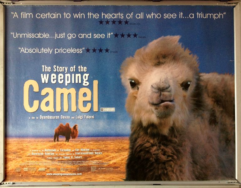 Cinema Poster: STORY OF THE WEEPING CAMEL 2004 (Quad) Janchiv Ayurzana Cinema Poster: STORY OF THE WEEPING CAMEL 2004 (Quad) Janchiv Ayurzana