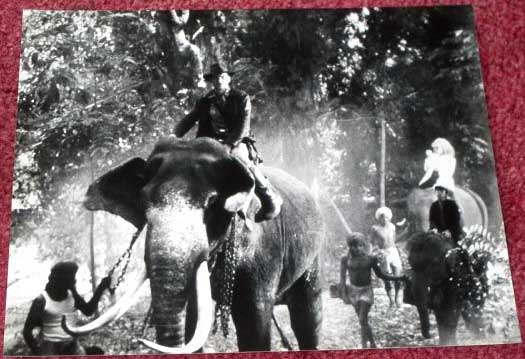 INDIANA JONES AND THE TEMPLE OF DOOM: B/W Still All on Elephants 