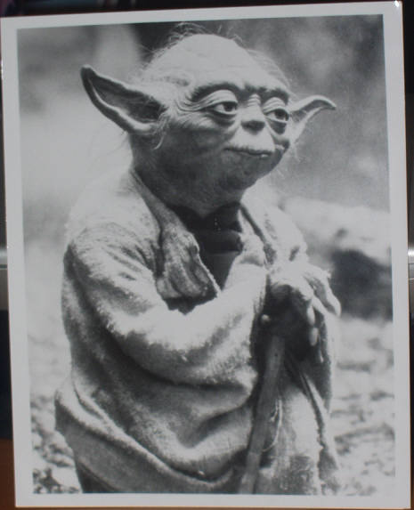 STAR WARS EPISODE V THE EMPIRE STRIKES BACK: B/W Still Yoda