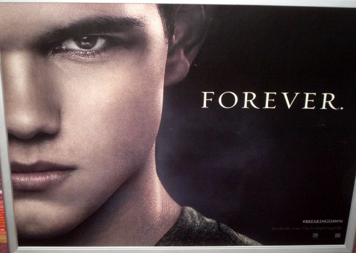 TWILIGHT SAGA BREAKING DAWN PART 2: Taylor Lautner Quad Film Poster TWILIGHT SAGA BREAKING DAWN PART 2: Taylor Lautner Quad Film Poster