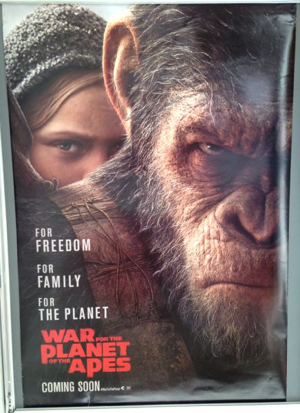Cinema Poster: WAR FOR THE PLANET OF THE APES 2017 (Child One Sheet)